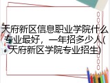 天府新区信息职业学院什么专业最好，一年招多少人(天府新区学院专业招生)
