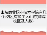 山东商业职业技术学院有几个校区,有多少人(山东商院校区及人数)