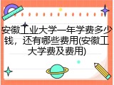 安徽工业大学一年学费多少钱，还有哪些费用(安徽工大学费及费用)