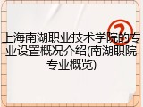 上海南湖职业技术学院的专业设置概况介绍(南湖职院专业概览)