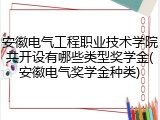 安徽电气工程职业技术学院共开设有哪些类型奖学金(安徽电气奖学金种类)