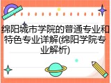 绵阳城市学院的普通专业和特色专业详解(绵阳学院专业解析)