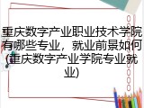 重庆数字产业职业技术学院有哪些专业，就业前景如何(重庆数字产业学院专业就业)