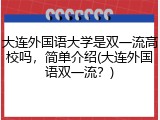 大连外国语大学是双一流高校吗，简单介绍(大连外国语双一流？)
