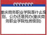 重庆商务职业学院是什么级别，公办还是民办(重庆商务职业学院性质级别)