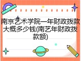 南京艺术学院一年财政拨款大概多少钱(南艺年财政拨款额)