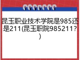 昆玉职业技术学院是985还是211(昆玉职院985211？)