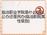 临沧职业学院是什么级别，公办还是民办(临沧职院属性级别)