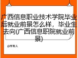 广西信息职业技术学院毕业后就业前景怎么样，毕业生去向(广西信息职院就业前景)
