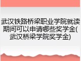 武汉铁路桥梁职业学院就读期间可以申请哪些奖学金(武汉桥梁学院奖学金)
