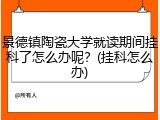景德镇陶瓷大学就读期间挂科了怎么办呢？(挂科怎么办)