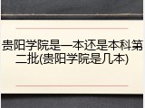 贵阳学院是一本还是本科第二批(贵阳学院是几本)