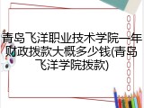 青岛飞洋职业技术学院一年财政拨款大概多少钱(青岛飞洋学院拨款)