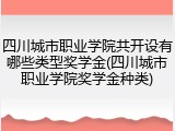 四川城市职业学院共开设有哪些类型奖学金(四川城市职业学院奖学金种类)