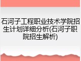 石河子工程职业技术学院招生计划详细分析(石河子职院招生解析)