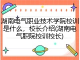湖南电气职业技术学院校训是什么，校长介绍(湖南电气职院校训校长)