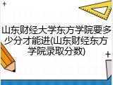 山东财经大学东方学院要多少分才能进(山东财经东方学院录取分数)