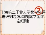 上海第二工业大学奖学金评定细则是怎样的(奖学金评定细则)