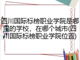 四川国际标榜职业学院是哪里的学校，在哪个城市(四川国际标榜职业学院位置)