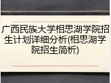 广西民族大学相思湖学院招生计划详细分析(相思湖学院招生简析)