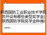 陕西国防工业职业技术学院共开设有哪些类型奖学金(陕西国防学院奖学金种类)