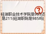 硅湖职业技术学院是985还是211(硅湖职院是985吗)