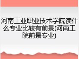 河南工业职业技术学院读什么专业比较有前景(河南工院前景专业)