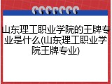 山东理工职业学院的王牌专业是什么(山东理工职业学院王牌专业)