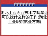 湖北工业职业技术学院毕业可以找什么样的工作(湖北工业职院就业方向)