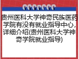 贵州医科大学神奇民族医药学院有没有就业指导中心，详细介绍(贵州医科大学神奇学院就业指导)
