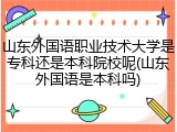 山东外国语职业技术大学是专科还是本科院校呢(山东外国语是本科吗)