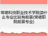 常德科技职业技术学院读什么专业比较有前景(常德职院前景专业)
