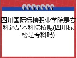 四川国际标榜职业学院是专科还是本科院校呢(四川标榜是专科吗)