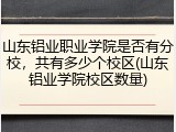 山东铝业职业学院是否有分校，共有多少个校区(山东铝业学院校区数量)