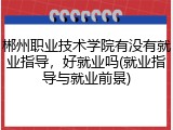 郴州职业技术学院有没有就业指导，好就业吗(就业指导与就业前景)