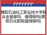 濮阳石油化工职业技术学院含金量量吗，值得报吗(濮阳石化职院值得报吗)