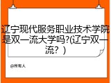 辽宁现代服务职业技术学院是双一流大学吗?(辽宁双一流？)