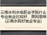 云南水利水电职业学院什么专业就业比较好，原因是啥(云南水院好就业专业)
