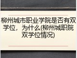 柳州城市职业学院是否有双学位，为什么(柳州城职院双学位情况)