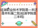 硅湖职业技术学院是一本还是本科第二批(硅湖学院是二本吗)