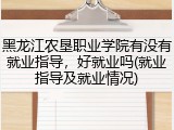 黑龙江农垦职业学院有没有就业指导，好就业吗(就业指导及就业情况)