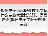 郑州电子信息职业技术学院什么专业就业比较好，原因是啥(郑州电子学院好就业专业)
