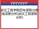 武汉工商学院历年录取分数线深度分析(武汉工商录取分析)