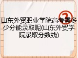 山东外贸职业学院高考需多少分能录取呢(山东外贸学院录取分数线)