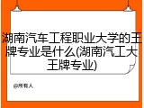 湖南汽车工程职业大学的王牌专业是什么(湖南汽工大王牌专业)