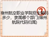 宿州航空职业学院招生编码多少，隶属哪个部门(宿州航院代码归属)