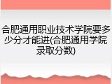 合肥通用职业技术学院要多少分才能进(合肥通用学院录取分数)