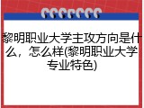 黎明职业大学主攻方向是什么，怎么样(黎明职业大学专业特色)