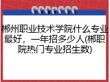 郴州职业技术学院什么专业最好，一年招多少人(郴职院热门专业招生数)