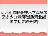 河北能源职业技术学院高考需多少分能录取呢(河北能源学院录取分数)
